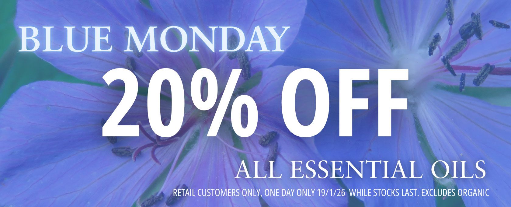 New Ginger Treatment Oil Benefits New Ginger Treatment Oil Benefits