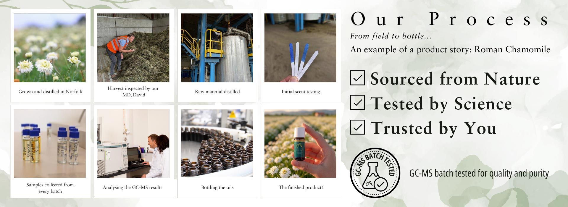 Free Hair and Body Treatment oil Free Hair and Body Treatment oil