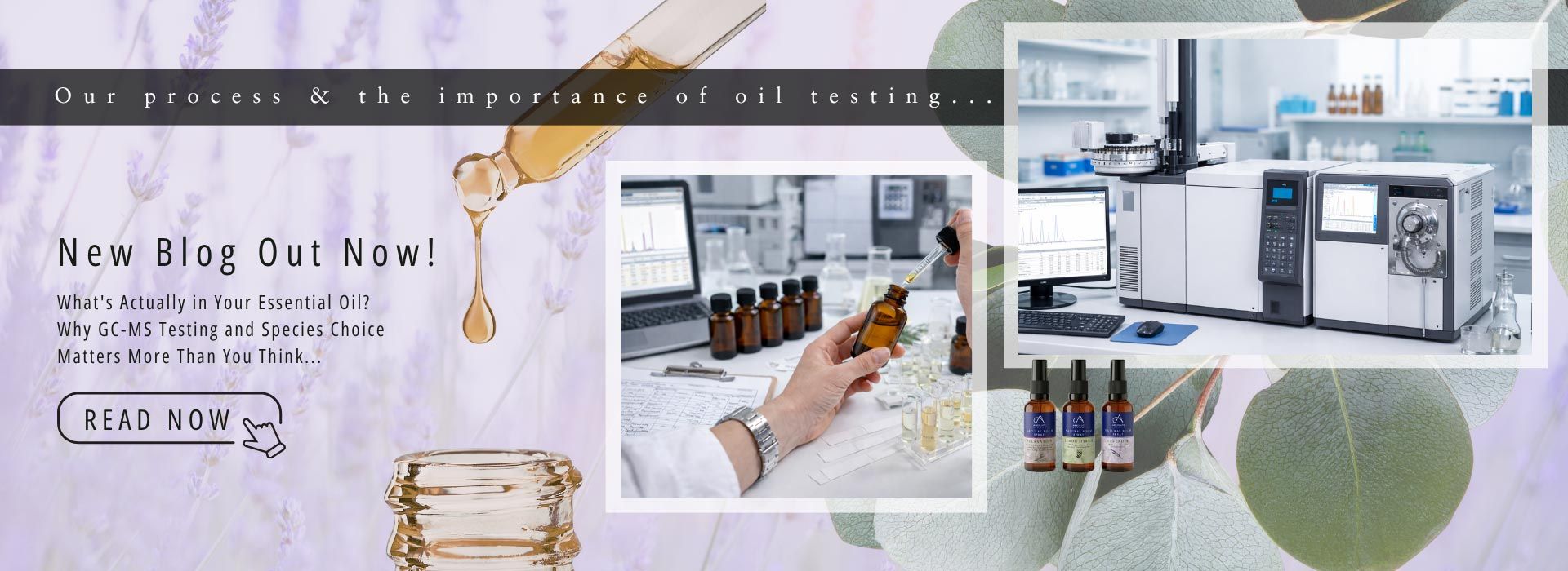 Free Hair and Body Treatment oil